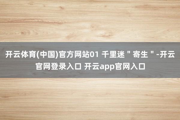 开云体育(中国)官方网站01 千里迷＂寄生＂-开云官网登录入口 开云app官网入口