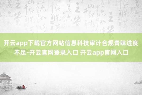 开云app下载官方网站信息科技审计合规青睐进度不足-开云官网登录入口 开云app官网入口