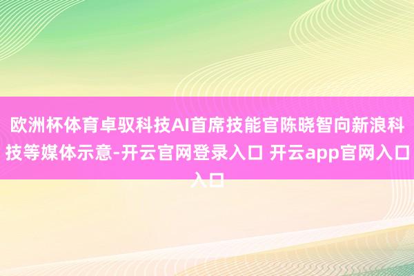 欧洲杯体育卓驭科技AI首席技能官陈晓智向新浪科技等媒体示意-开云官网登录入口 开云app官网入口