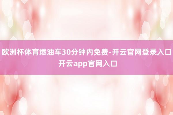 欧洲杯体育燃油车30分钟内免费-开云官网登录入口 开云app官网入口