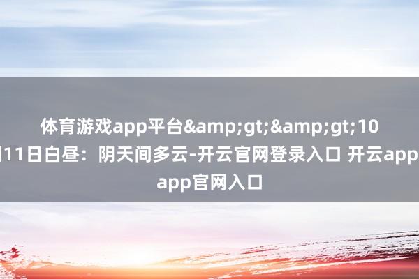 体育游戏app平台>>10日晚上到11日白昼:阴天间多云-开云官网登录入口 开云app官网入口