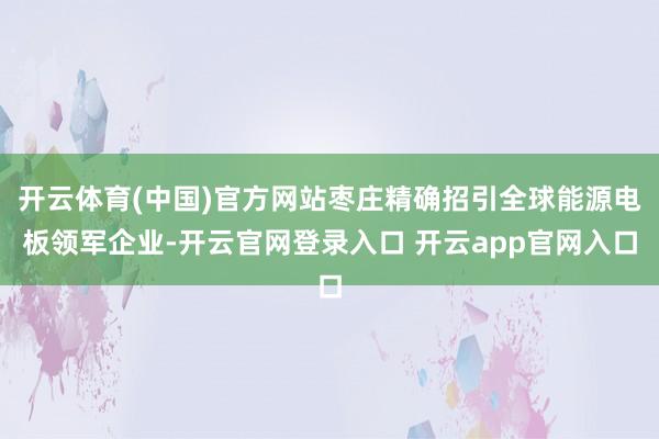 开云体育(中国)官方网站枣庄精确招引全球能源电板领军企业-开云官网登录入口 开云app官网入口