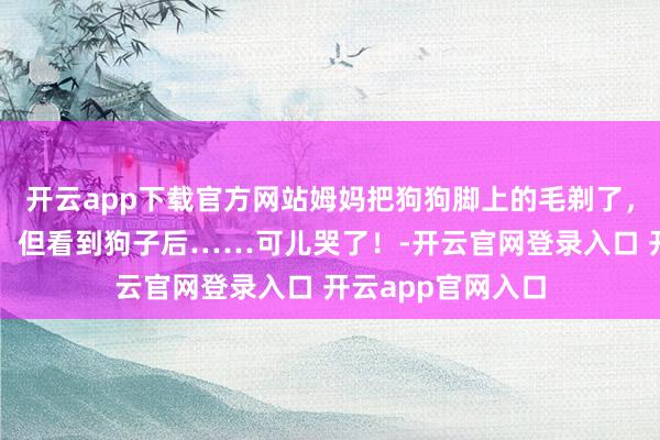 开云app下载官方网站姆妈把狗狗脚上的毛剃了，网友正本很不悦，但看到狗子后……可儿哭了！-开云官网登录入口 开云app官网入口