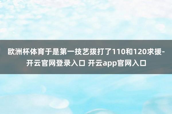 欧洲杯体育于是第一技艺拨打了110和120求援-开云官网登录入口 开云app官网入口