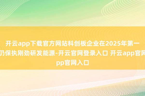 开云app下载官方网站科创板企业在2025年第一季度仍保执刚劲研发能源-开云官网登录入口 开云app官网入口