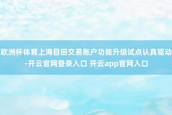 欧洲杯体育上海目田交易账户功能升级试点认真驱动-开云官网登录入口 开云app官网入口